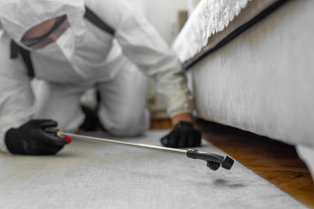 Professional Termite Control technician working in Pine Ridge, FL