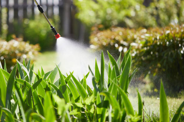 24/7 Emergency Termite Control experts in Pine Ridge, FL
